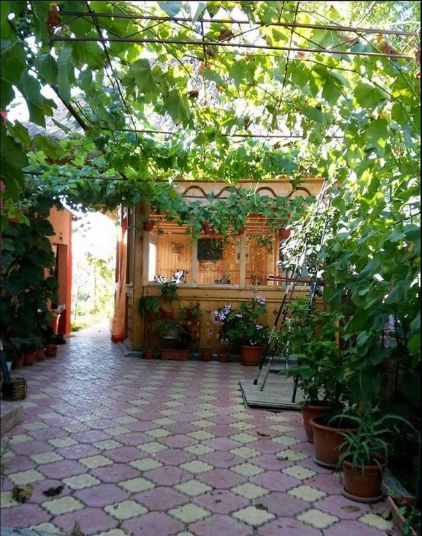 Casa Calin Hotel Crisan  Luaran gambar
